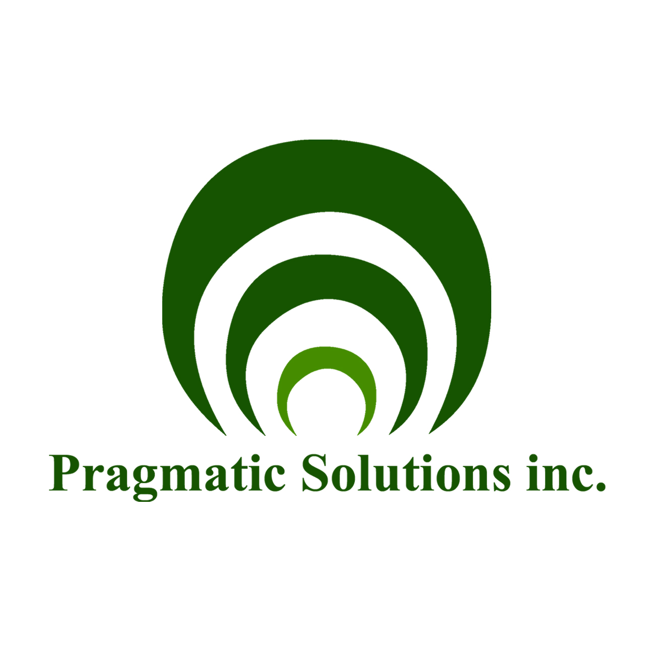 Pragmatic Solution Inc